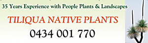 Tiliqua Native Plants